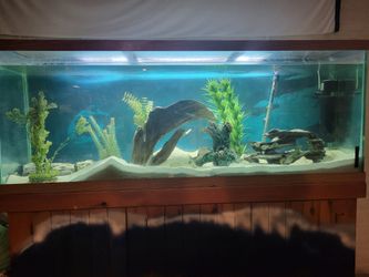 Fish Tank w/  Stand
