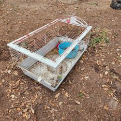 Rabbit Cage 