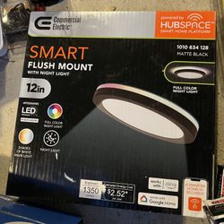 Smart Flash Mount Light