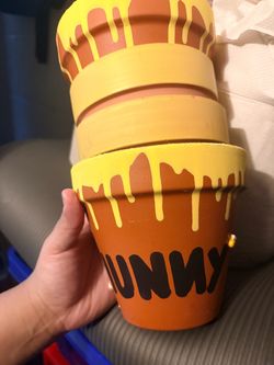 Winnie the Pooh Hunny Flower Pots Set