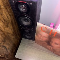 Sony Book Shelf Speaker 