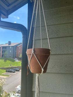 Planters and hangings