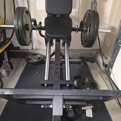 Leg Press With 300lb