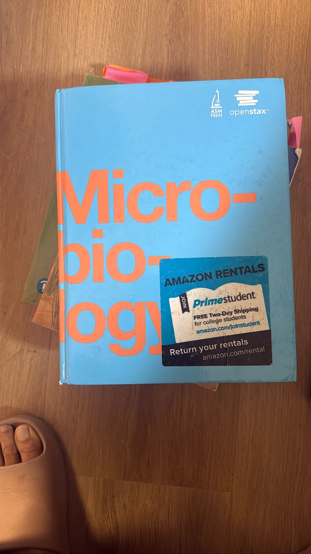 Microbiology