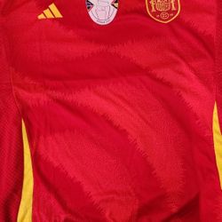Spain National Soccer Jersey And Short (size M) 