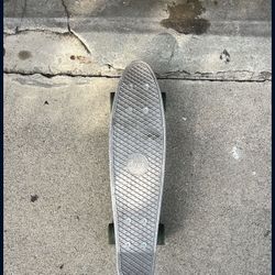 Penny Board Skateboard
