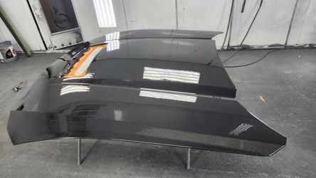 Carbon fiber hood