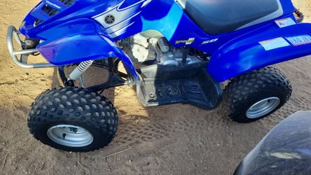 2005 raptor 50