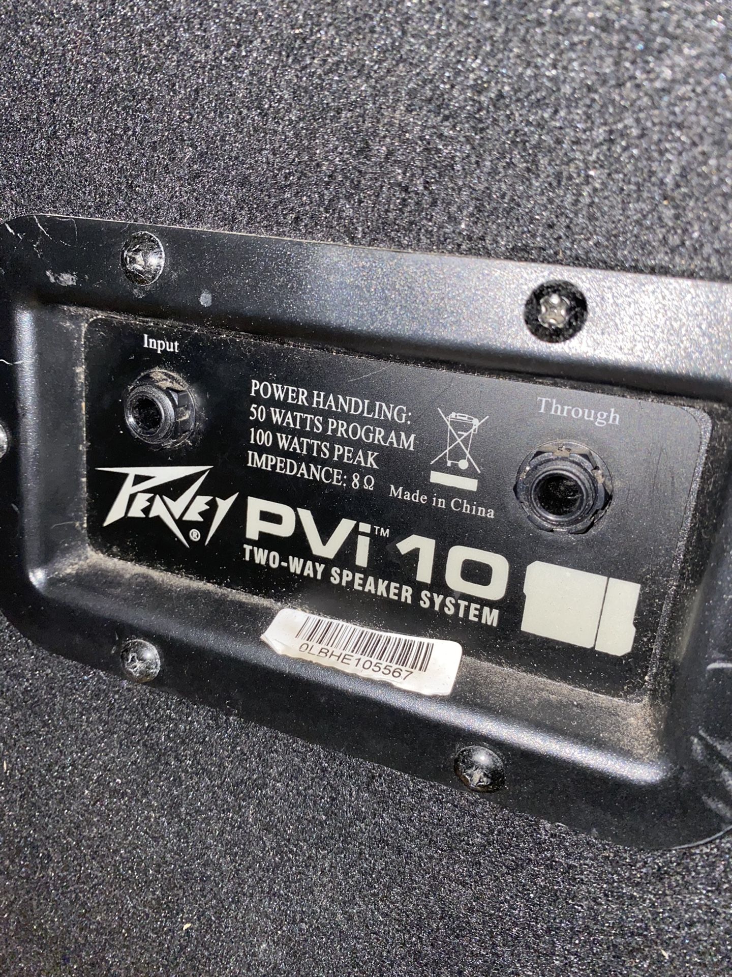 Peavey PVi10 2 way speaker system