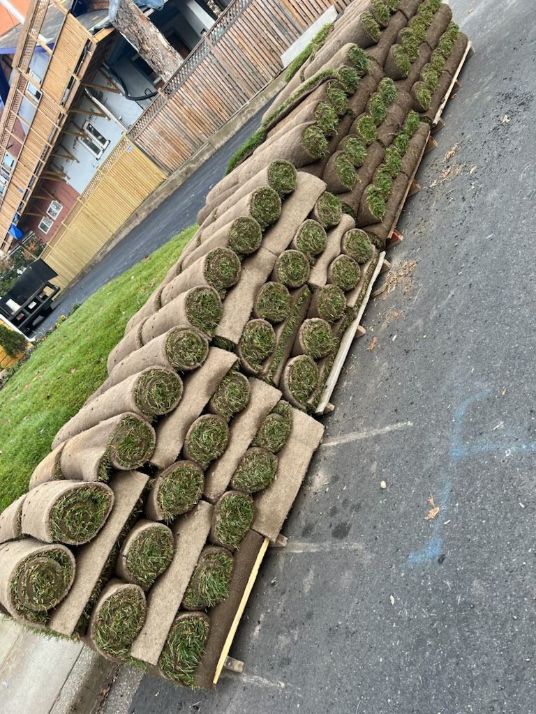 fresh sod