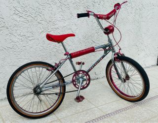 Schwinn Predator