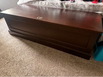 Storage Trunk