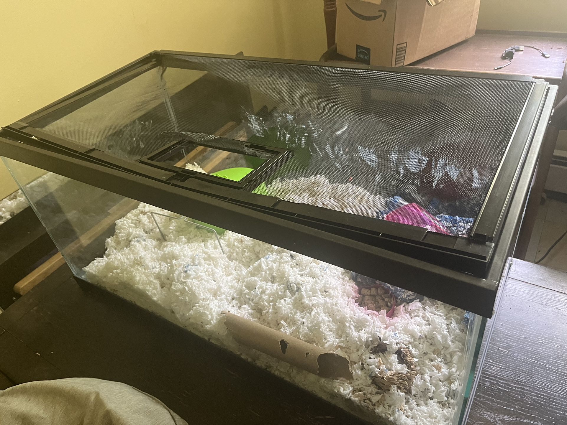 50 Gallon Hamster Aquarium