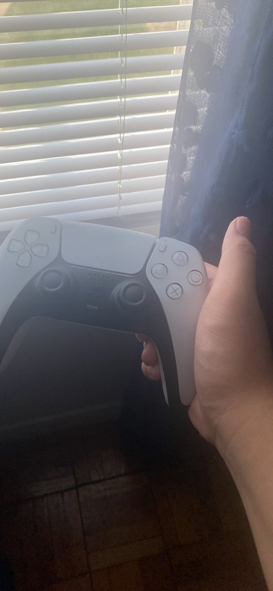 PS5 CONTROLLER (CAN NEGOTIATE)