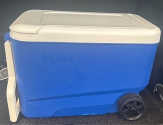 Cooler