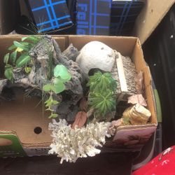 Fish Tank Decor