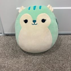 Squishmallow 