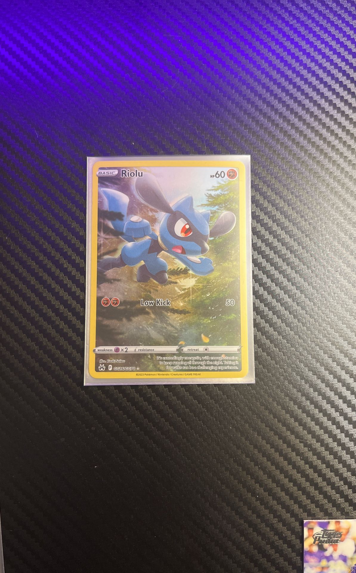 Full Art Riolu