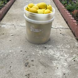 El bote de limones por $20