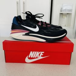 Nike Air Zoom GT Cut 2 Desert Berry Men’s Athletic Shoes DJ6015-003