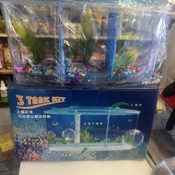 Bettas Fish Tank With Free Fish Food