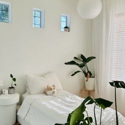 Twin designer Bed Includes Mattress 