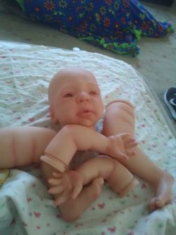 Reborn painted kit ($80)