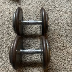 35lb Dumbbells 
