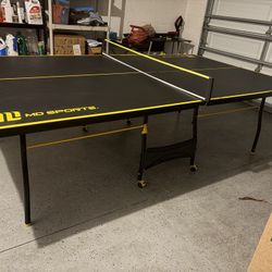 MD Table Tennis 