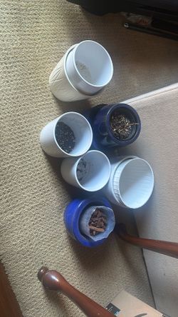 Lot Of Pots