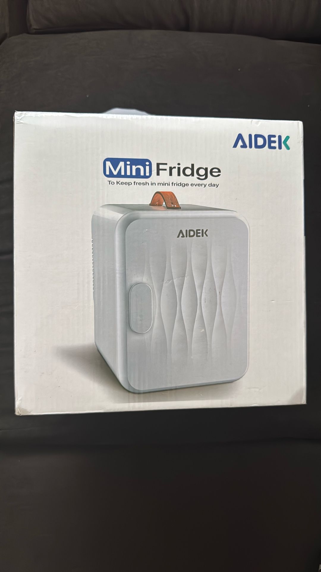 Mini Fridge 
