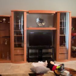 Entertainment Center 
