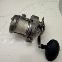 Daiwa Saltiga 20HA Fishing Reel