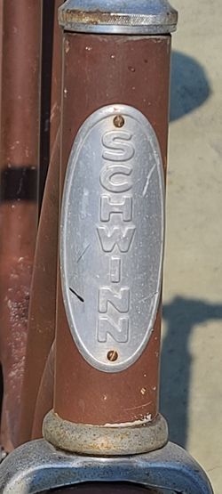 1959 Schwinn Tornado Girls Cruiser