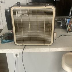 Fan 