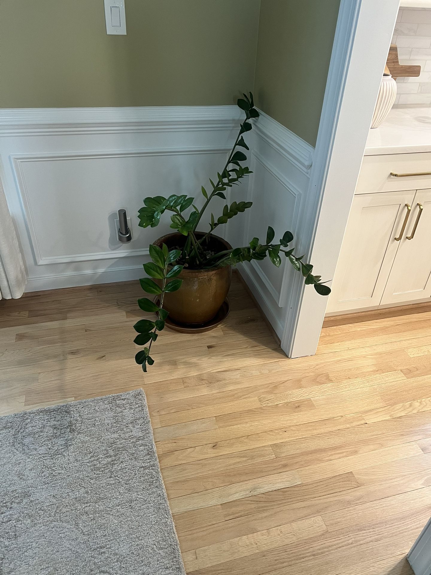 Plants