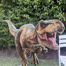 Huge Trex Cutout