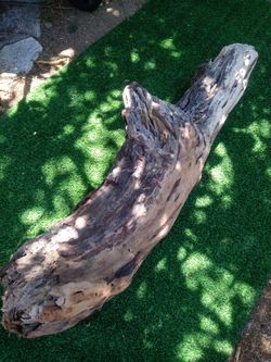 Large Driftwood log for terrariums aquariums decor