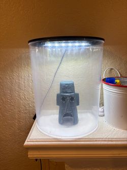 Betta fish tank