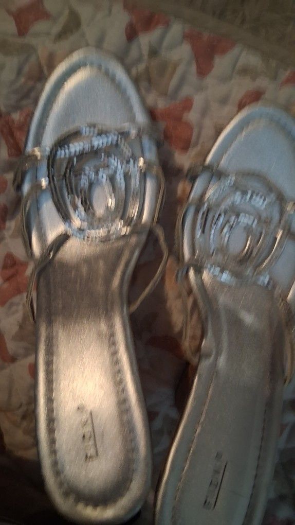 Silver Wedges