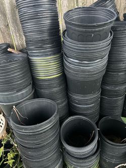 Flower Pots