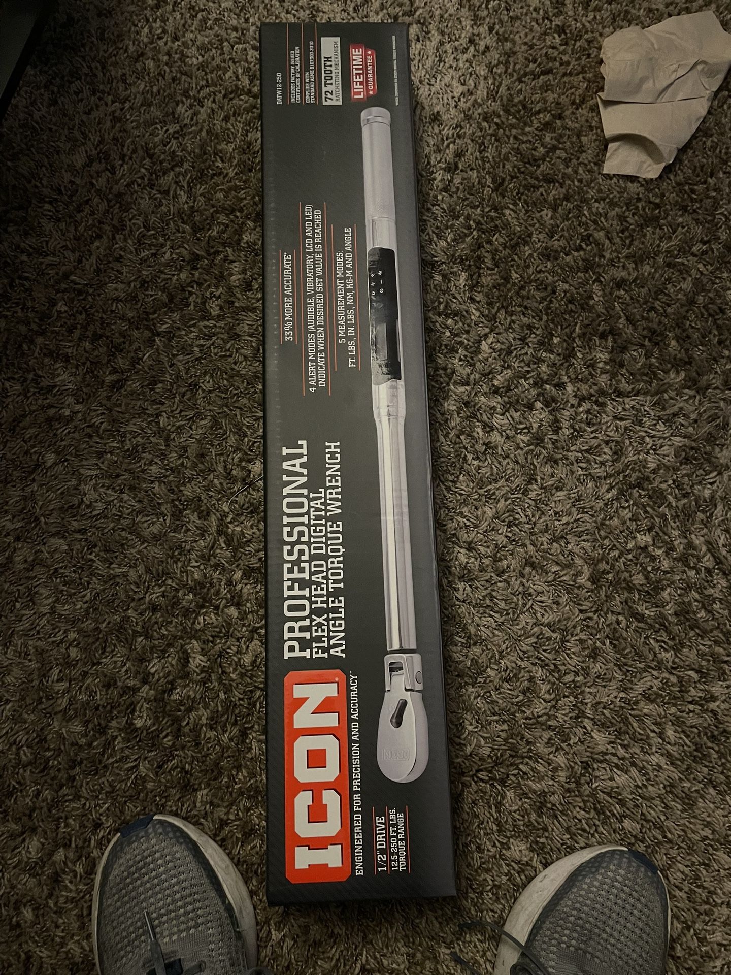 Icon Professional Torque Wrench