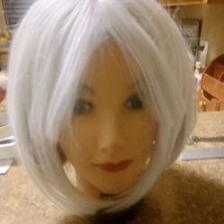 Wig And Mannequin