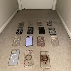 iPhone 16 Pro Max Cases 