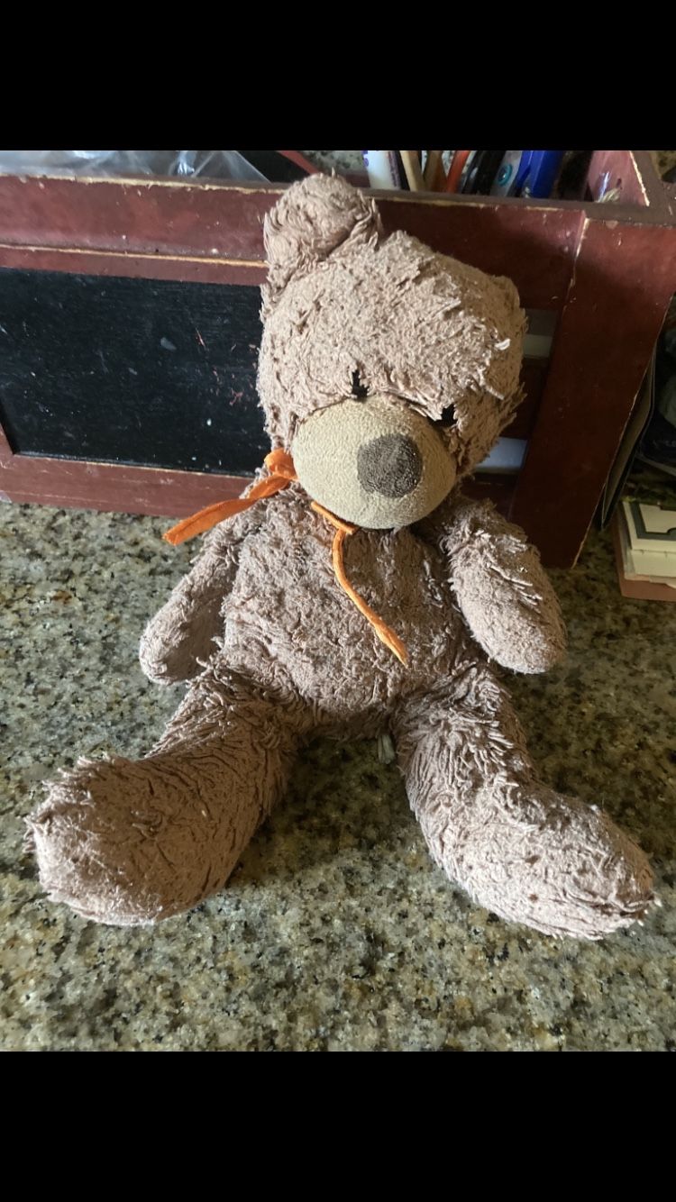 Lost Teddy Bear 🧸 