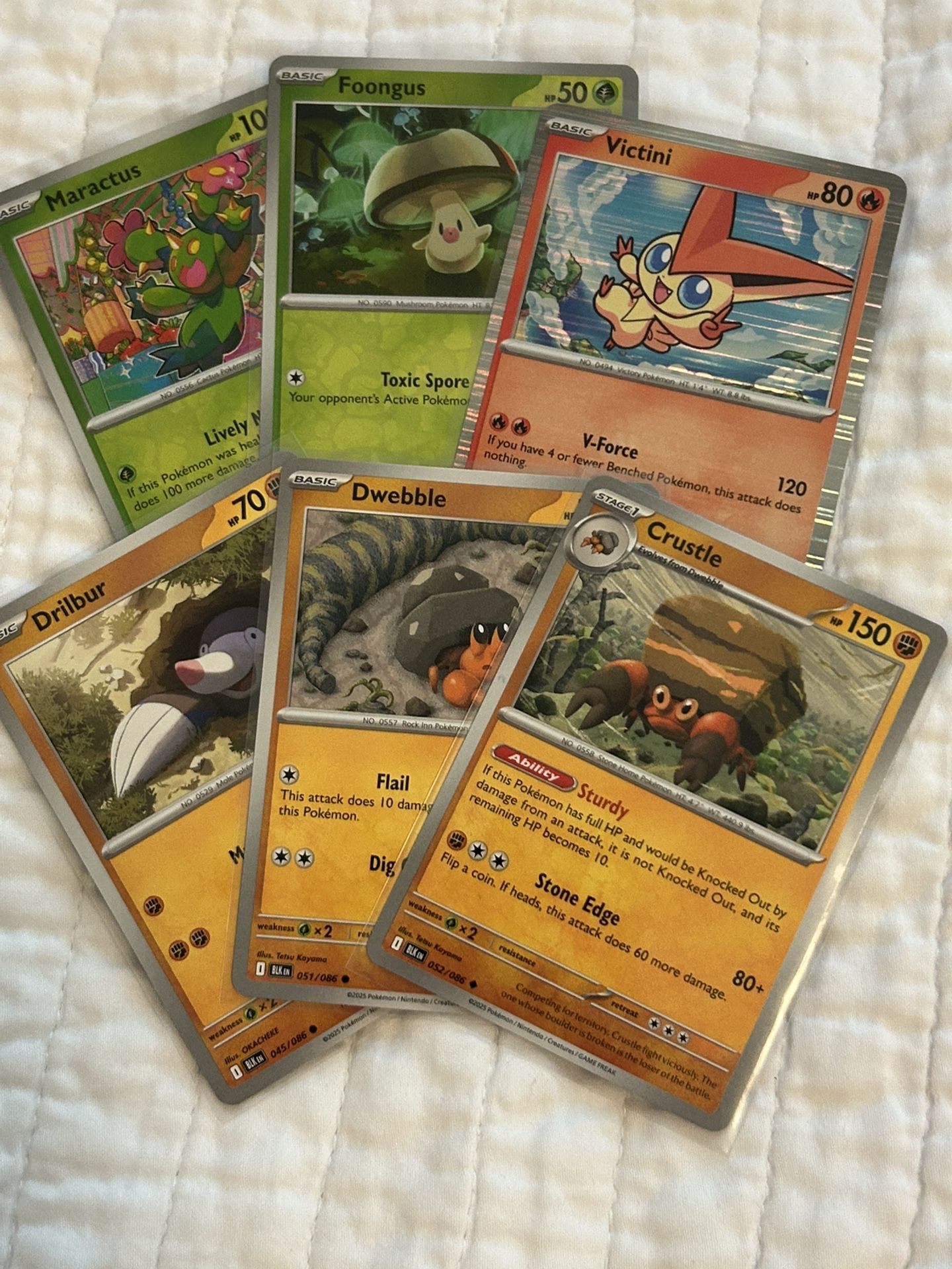 Black Bolt Pokemon: Victini, Maractus, Foongus, Drilbur, Dwebble, Crustle