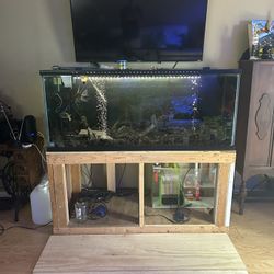 120 Gallon Fish Tank