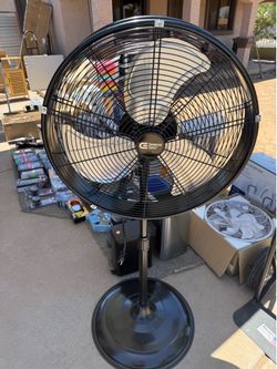 20 in. Oscillating Pedestal Fan