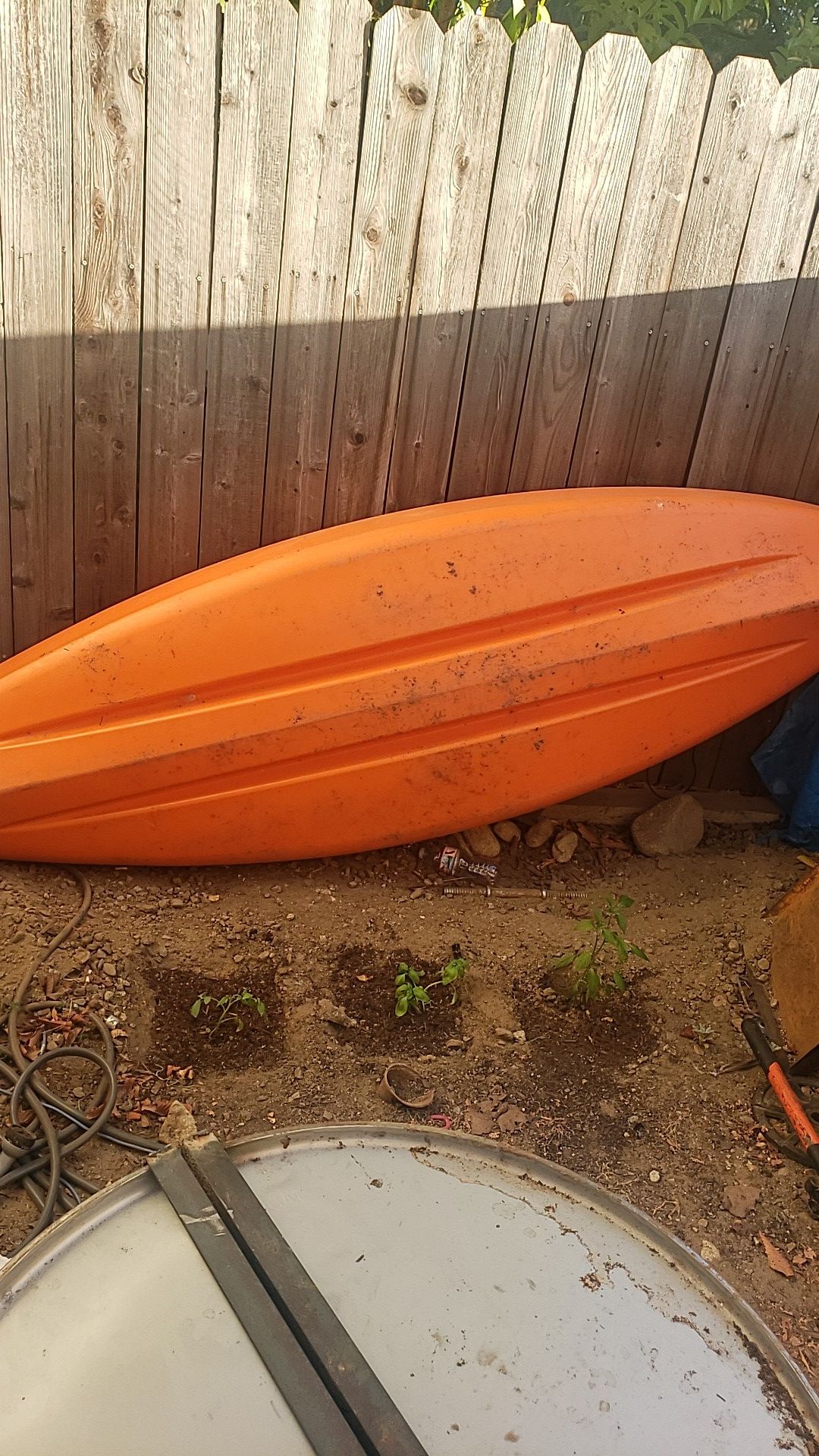 Kayak