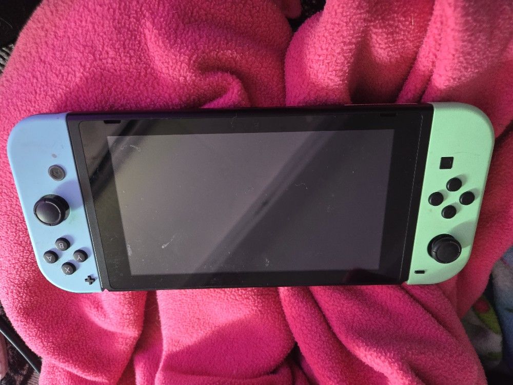 2021 Nintendo Switch Animal Crossing: New Horizons Limited Edition Console